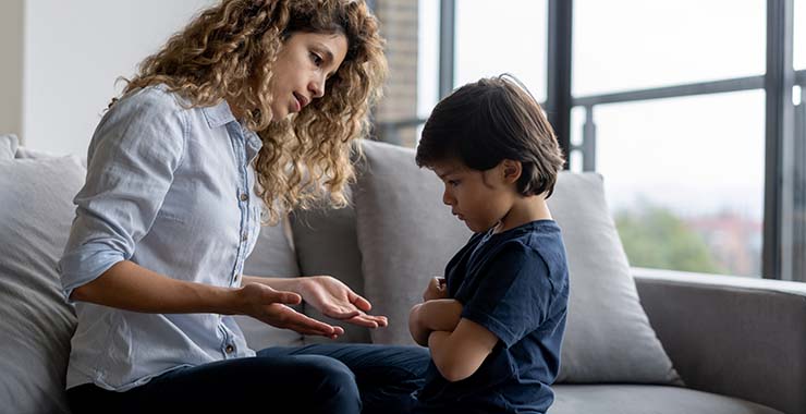 emotional regulation skills